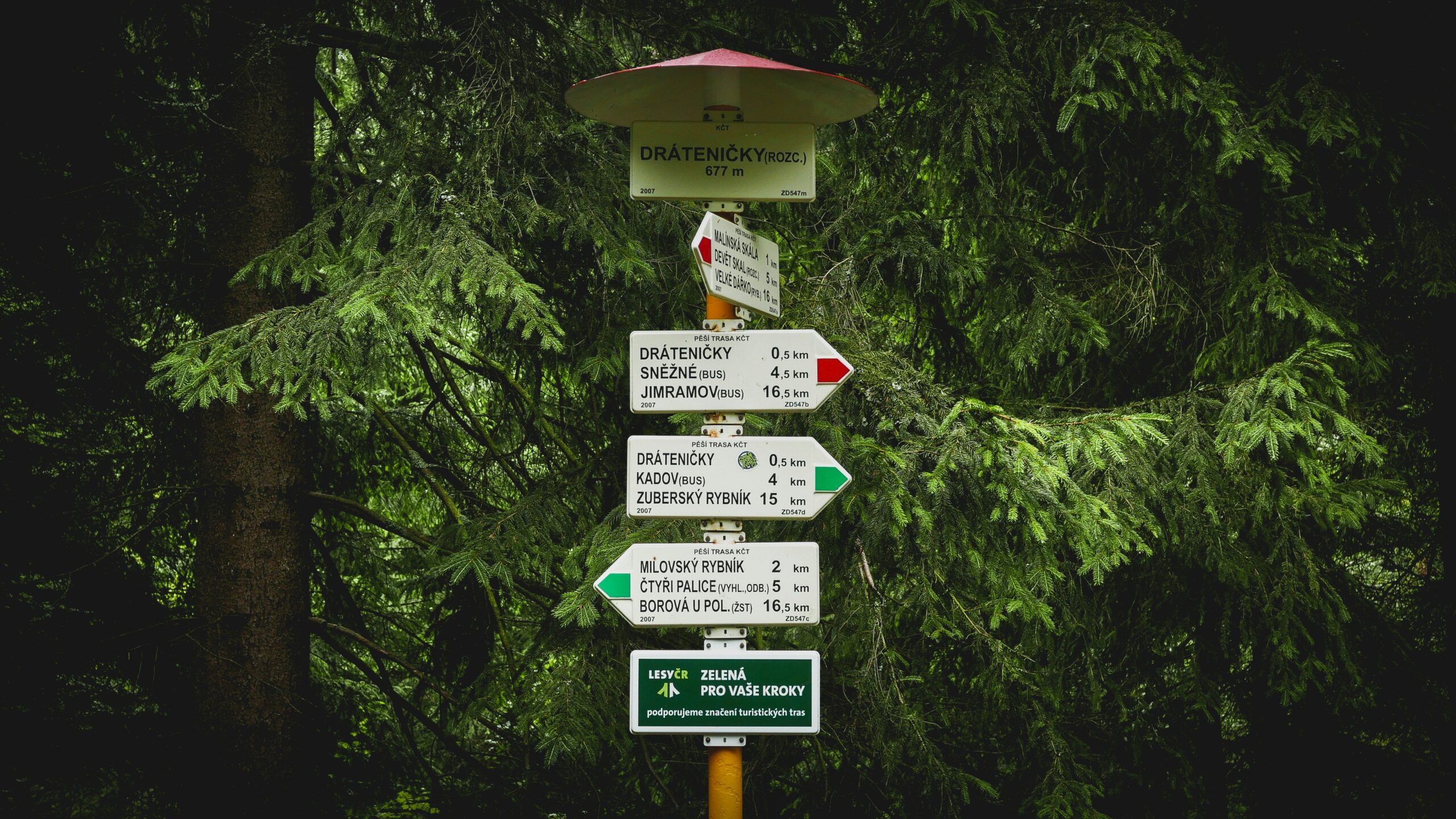 milan seitler WzJoydMPTiI unsplash scaled