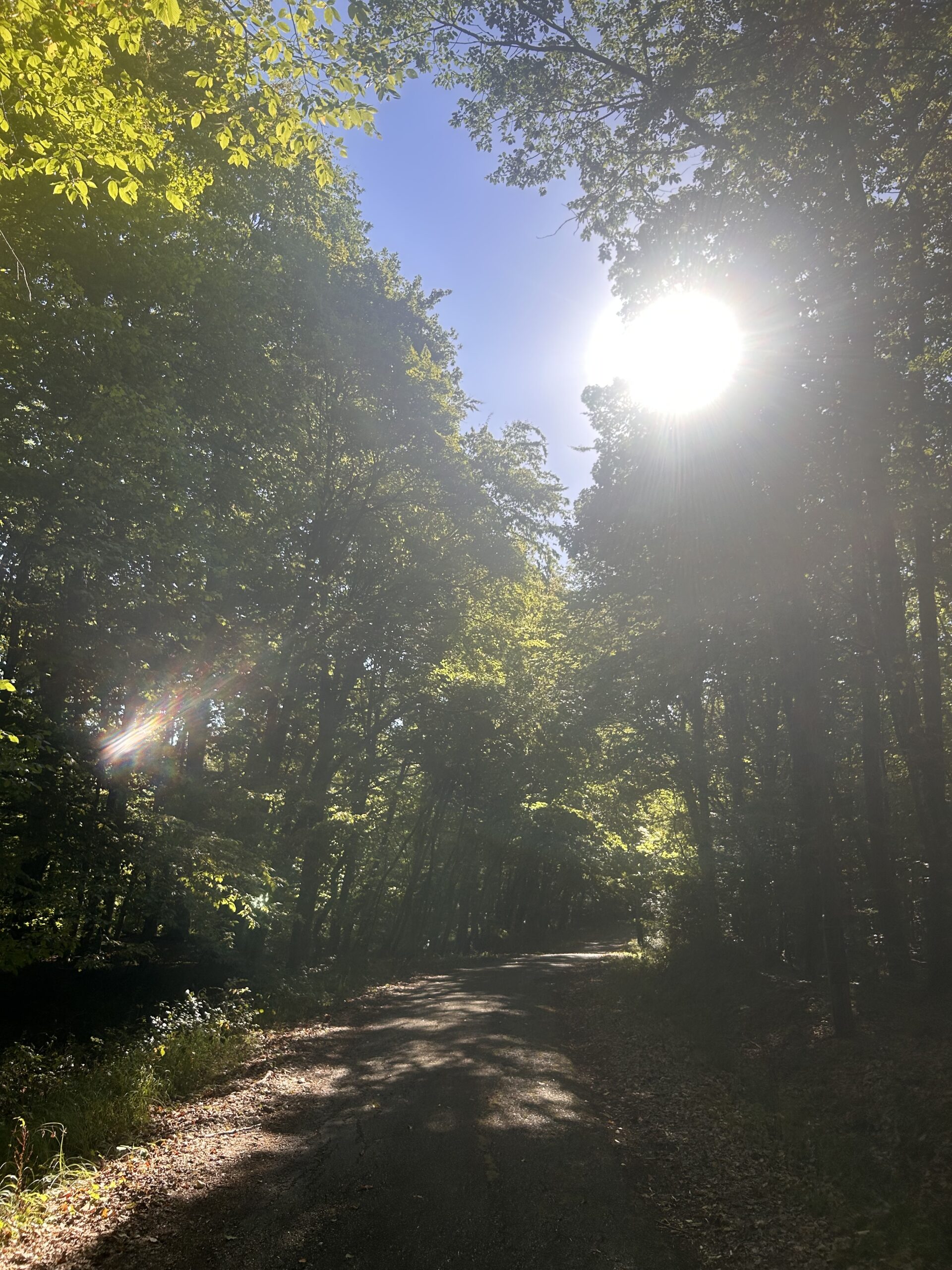 Selbstführung